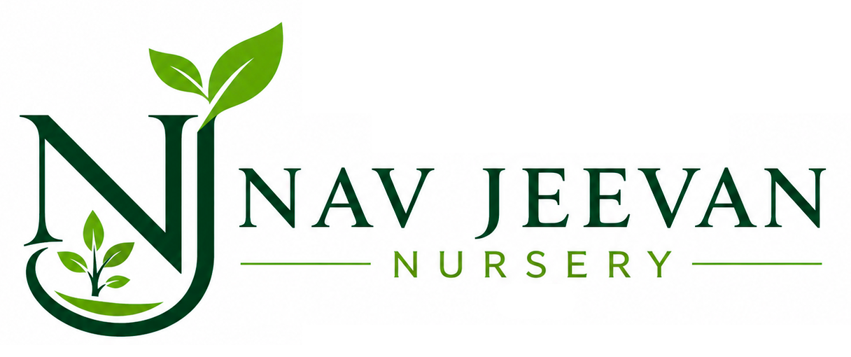 Nav Jeevan Nursery