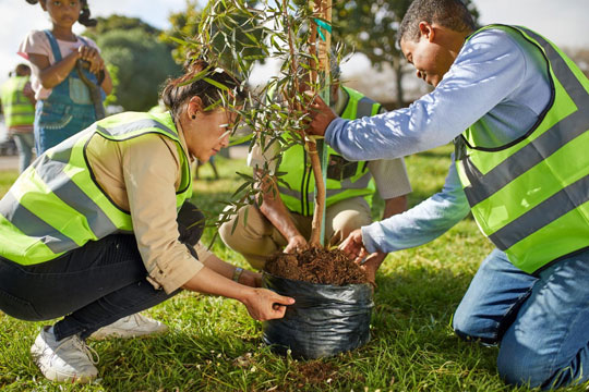 Best Plantation Services In Noida